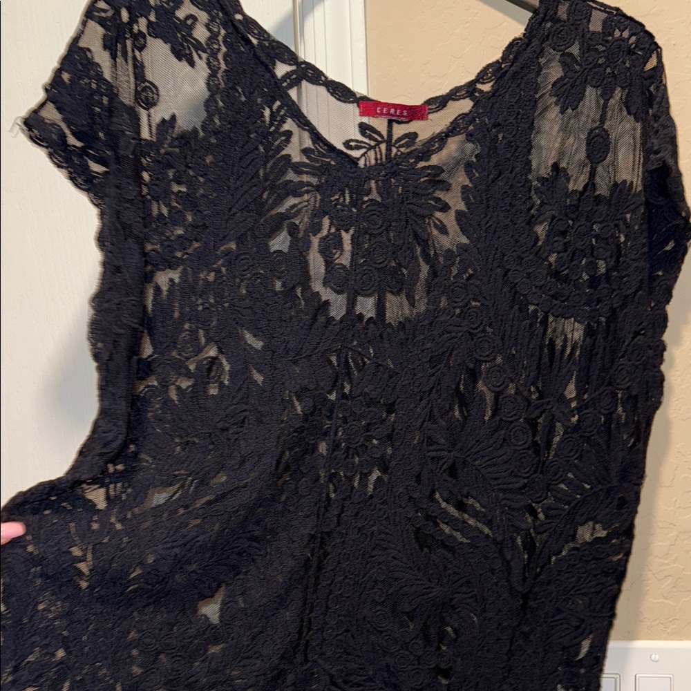 Chic Black Lace Blouse - Picture 5 of 5